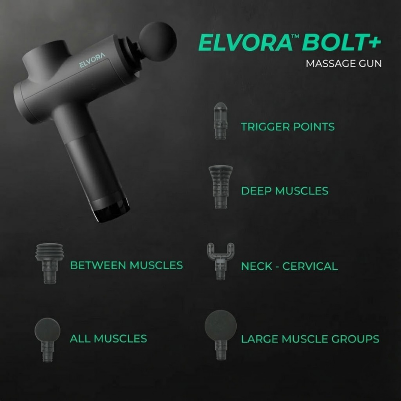 Massage Gun BOLT+ | Elvora